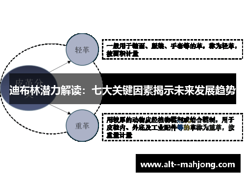迪布林潜力解读：七大关键因素揭示未来发展趋势